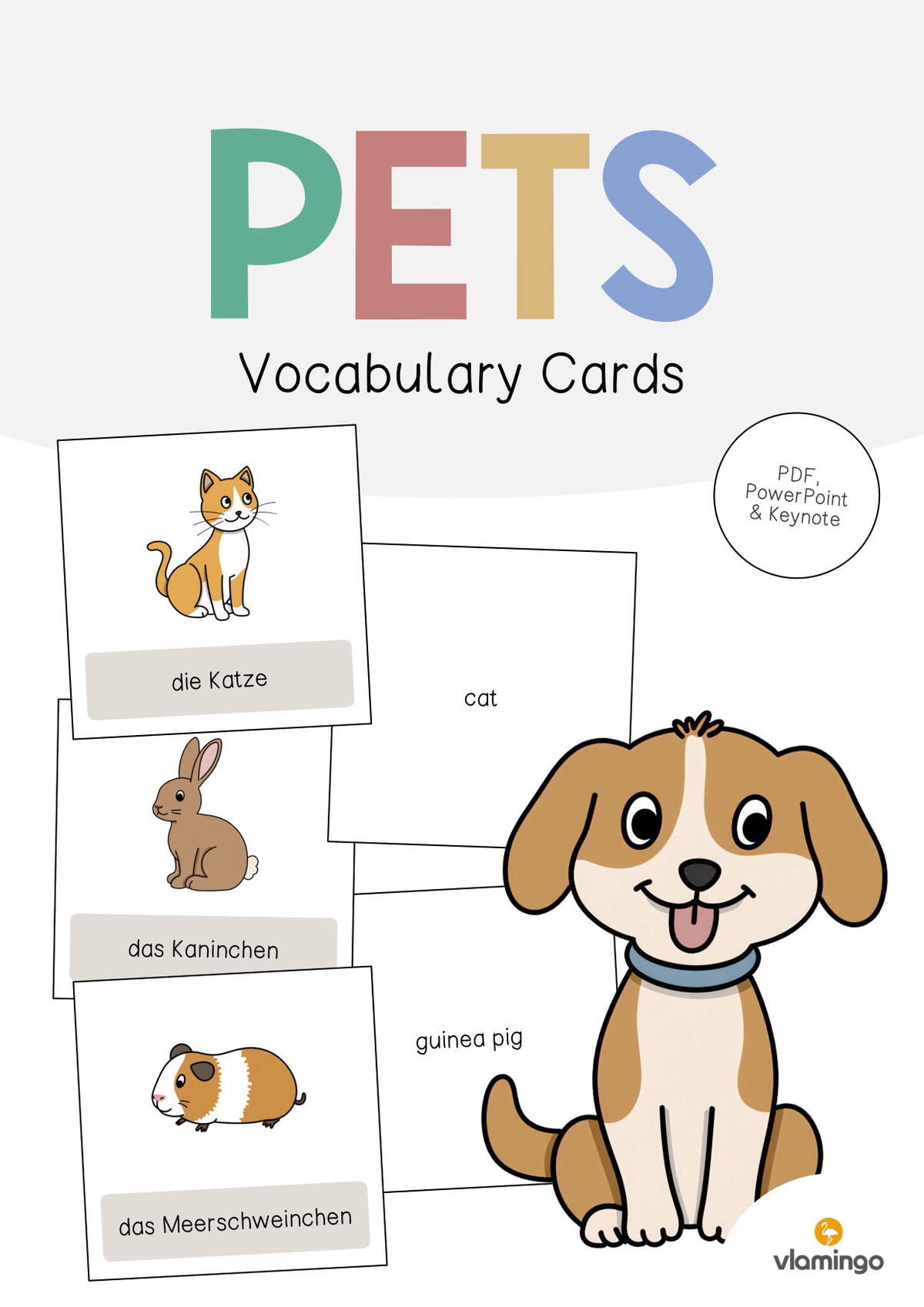 de englisch pets vocabulary cards 001