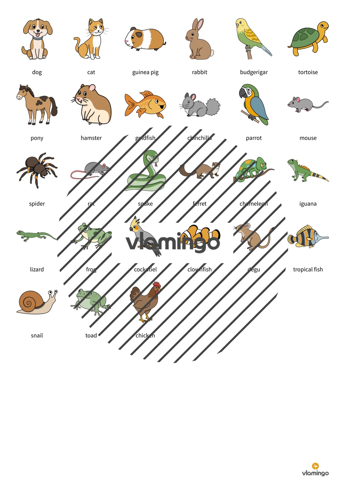 de englisch pets vocabulary fitness 003