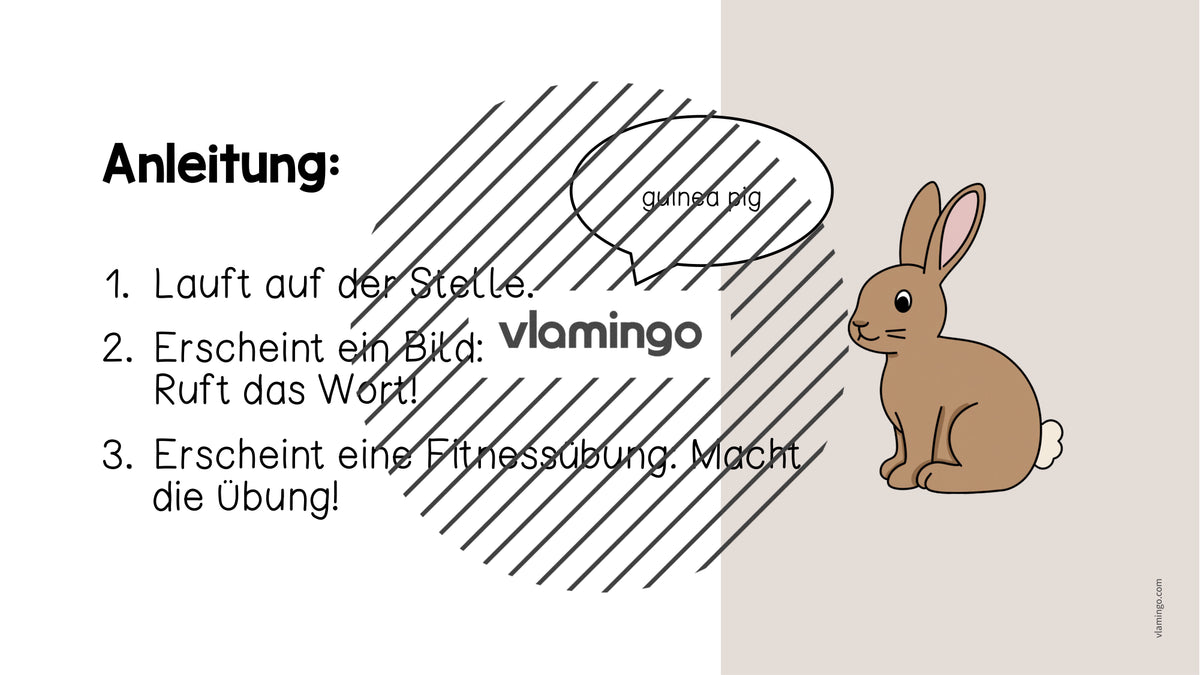 de englisch pets vocabulary fitness powerpoint 002