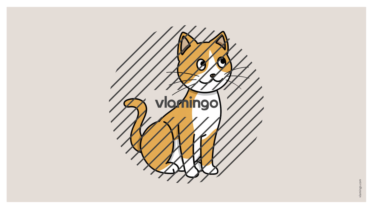 de englisch pets vocabulary fitness powerpoint 005