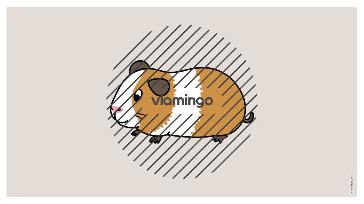 de englisch pets vocabulary fitness powerpoint 006