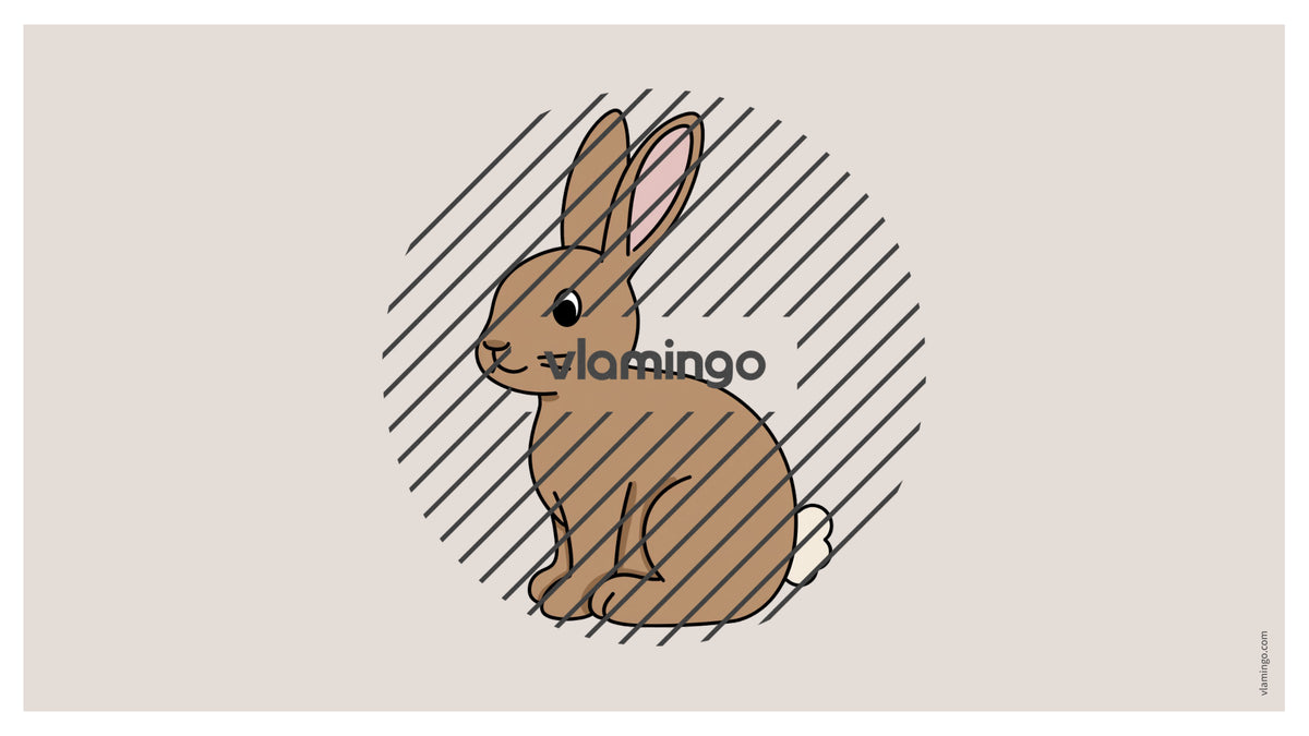 de englisch pets vocabulary fitness powerpoint 008