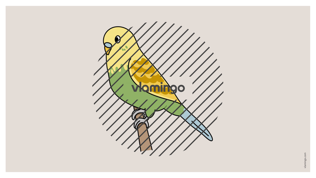 de englisch pets vocabulary fitness powerpoint 009
