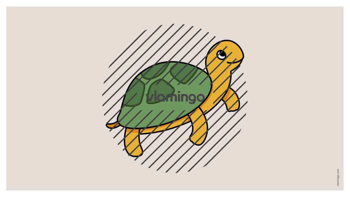 de englisch pets vocabulary fitness powerpoint 010