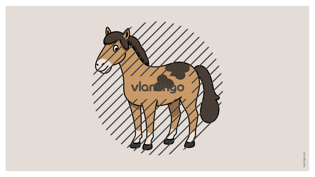 de englisch pets vocabulary fitness powerpoint 012