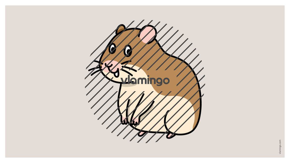 de englisch pets vocabulary fitness powerpoint 013