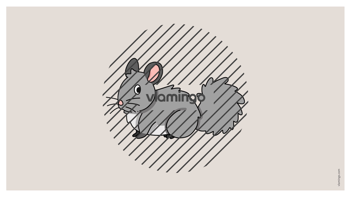de englisch pets vocabulary fitness powerpoint 016