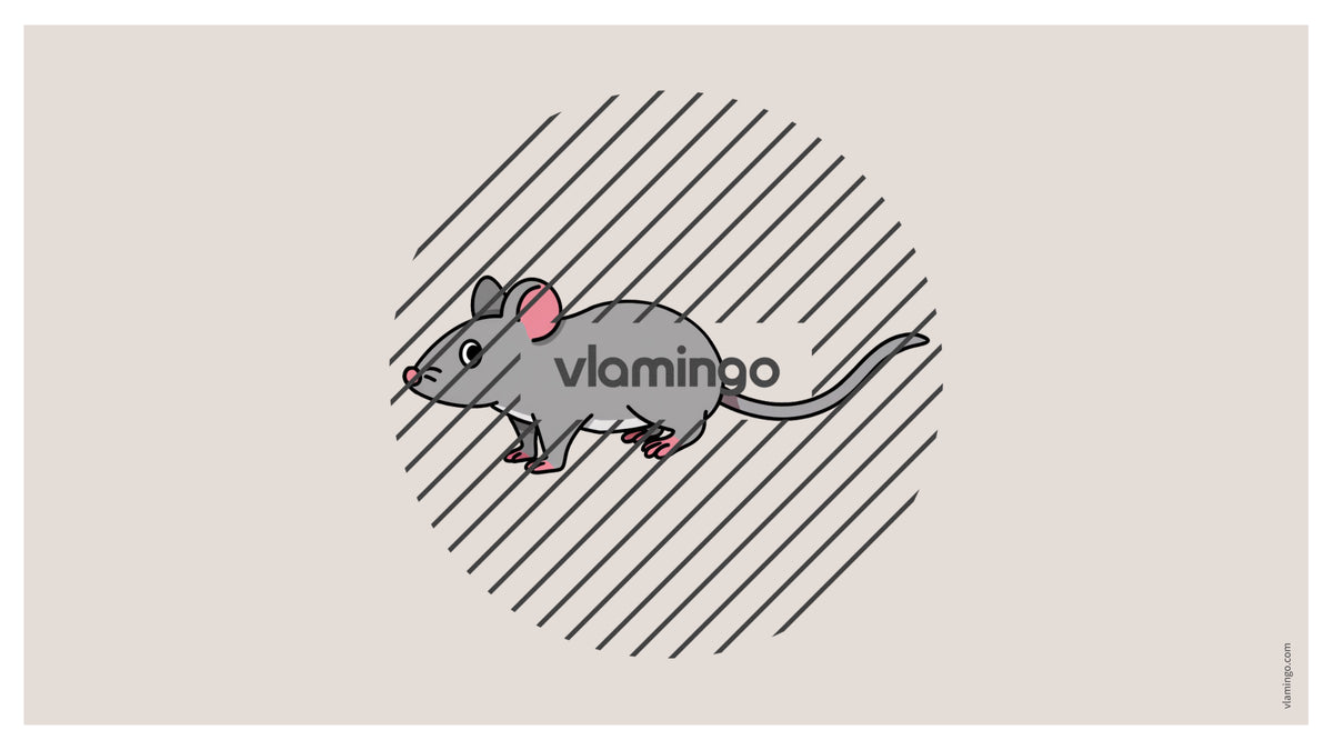 de englisch pets vocabulary fitness powerpoint 018