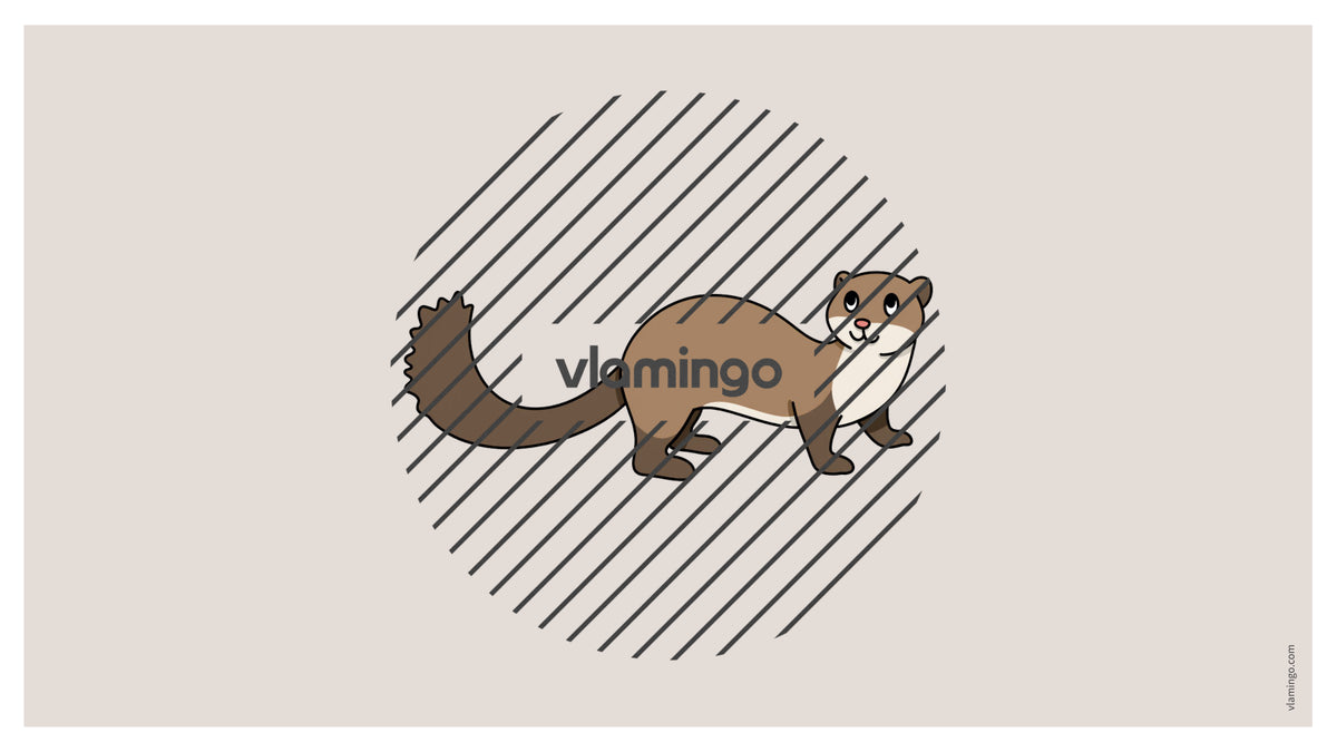 de englisch pets vocabulary fitness powerpoint 024