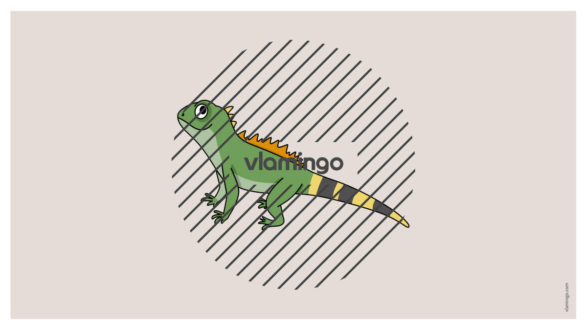 de englisch pets vocabulary fitness powerpoint 026