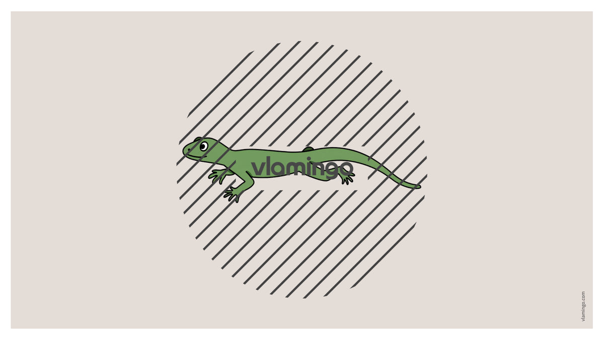 de englisch pets vocabulary fitness powerpoint 028