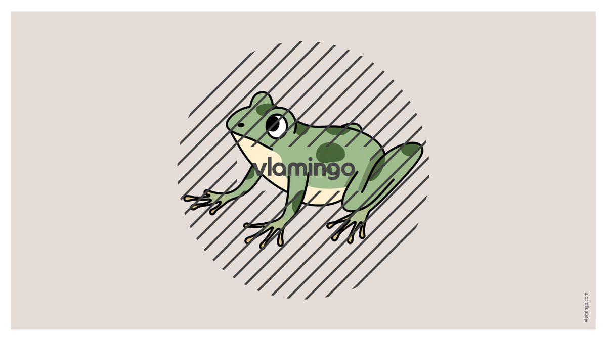 de englisch pets vocabulary fitness powerpoint 029