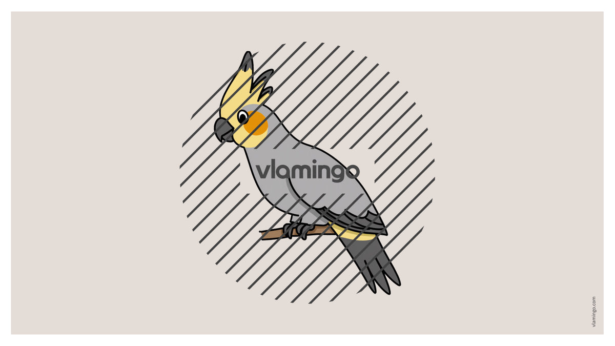 de englisch pets vocabulary fitness powerpoint 030