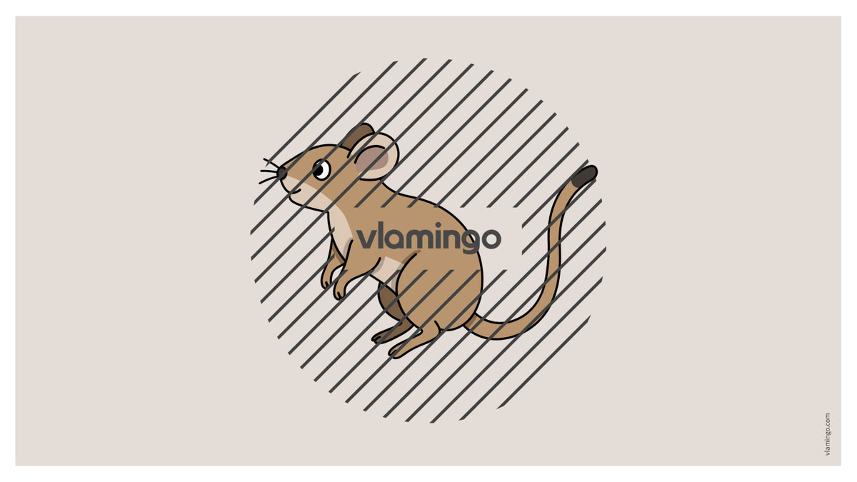 de englisch pets vocabulary fitness powerpoint 033