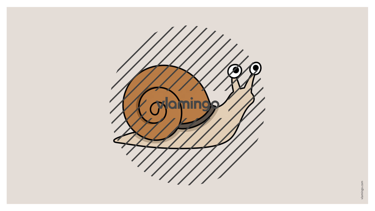 de englisch pets vocabulary fitness powerpoint 036