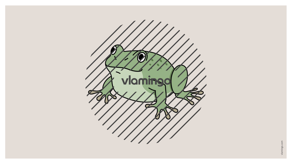 de englisch pets vocabulary fitness powerpoint 037