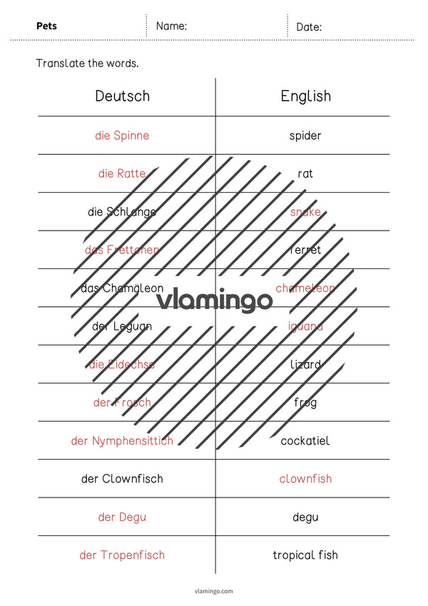 de englisch pets vocabulary mini test 007