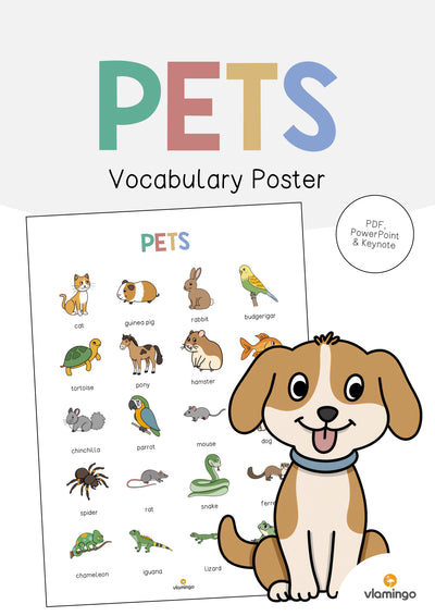 Pets / Haustiere: Vocabulary Poster (Englisch)