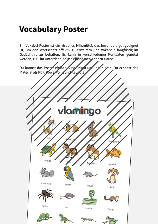 de englisch pets vocabulary poster 002