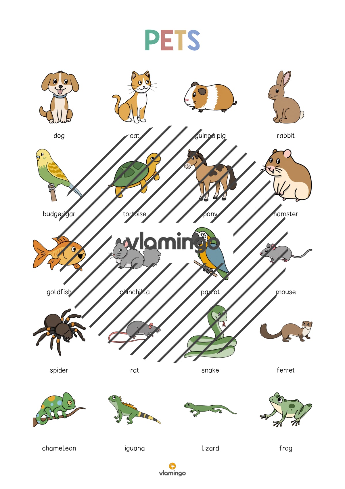 de englisch pets vocabulary poster 003