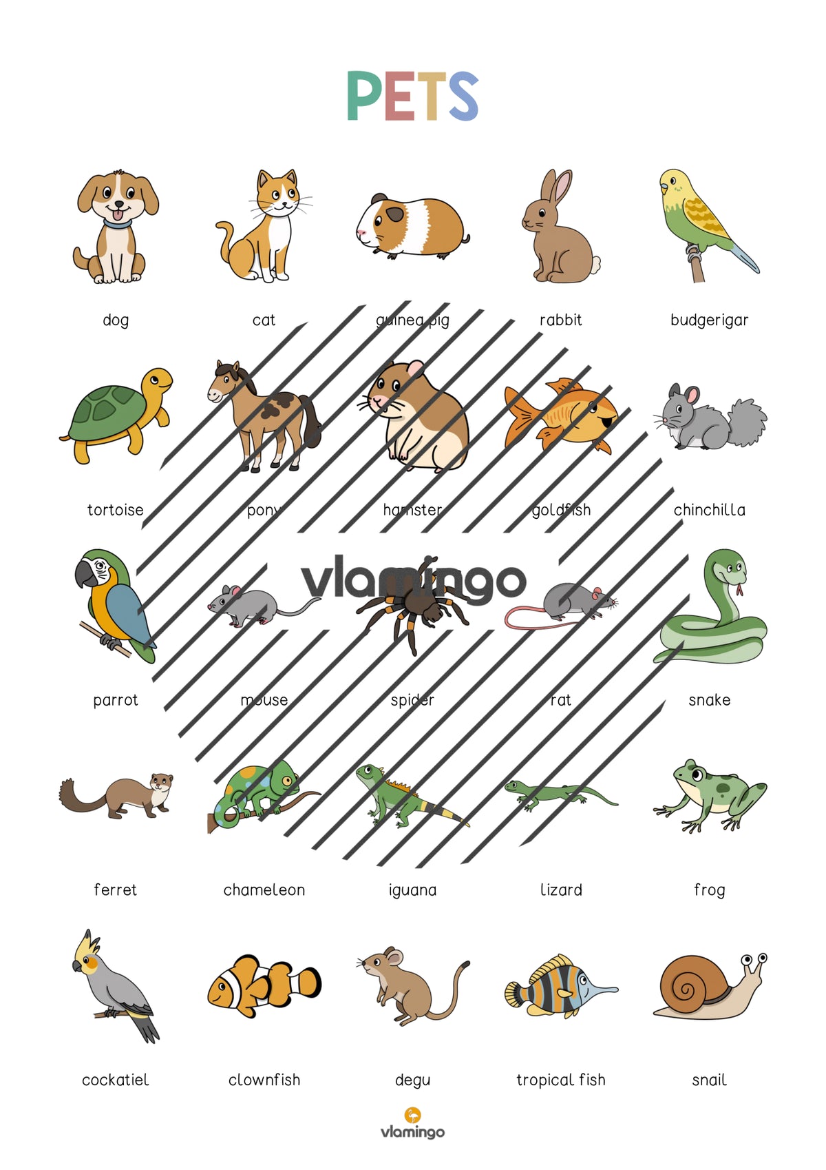 de englisch pets vocabulary poster 004