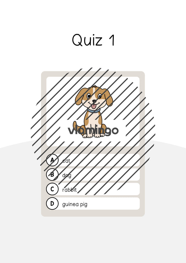 de englisch pets vocabulary quiz 004