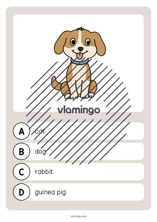 de englisch pets vocabulary quiz 005