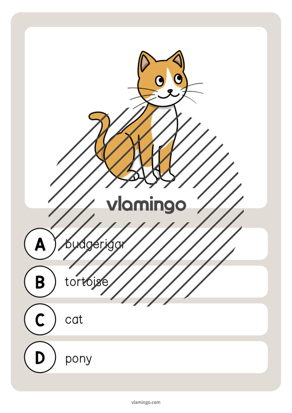 de englisch pets vocabulary quiz 007