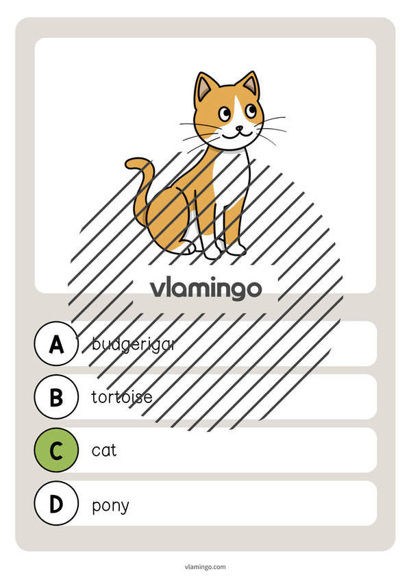 de englisch pets vocabulary quiz 008