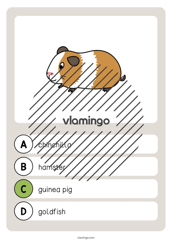 de englisch pets vocabulary quiz 010