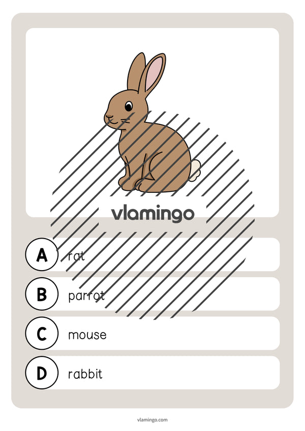 de englisch pets vocabulary quiz 011