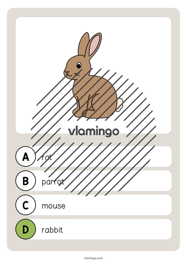 de englisch pets vocabulary quiz 012