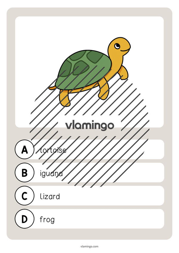 de englisch pets vocabulary quiz 015