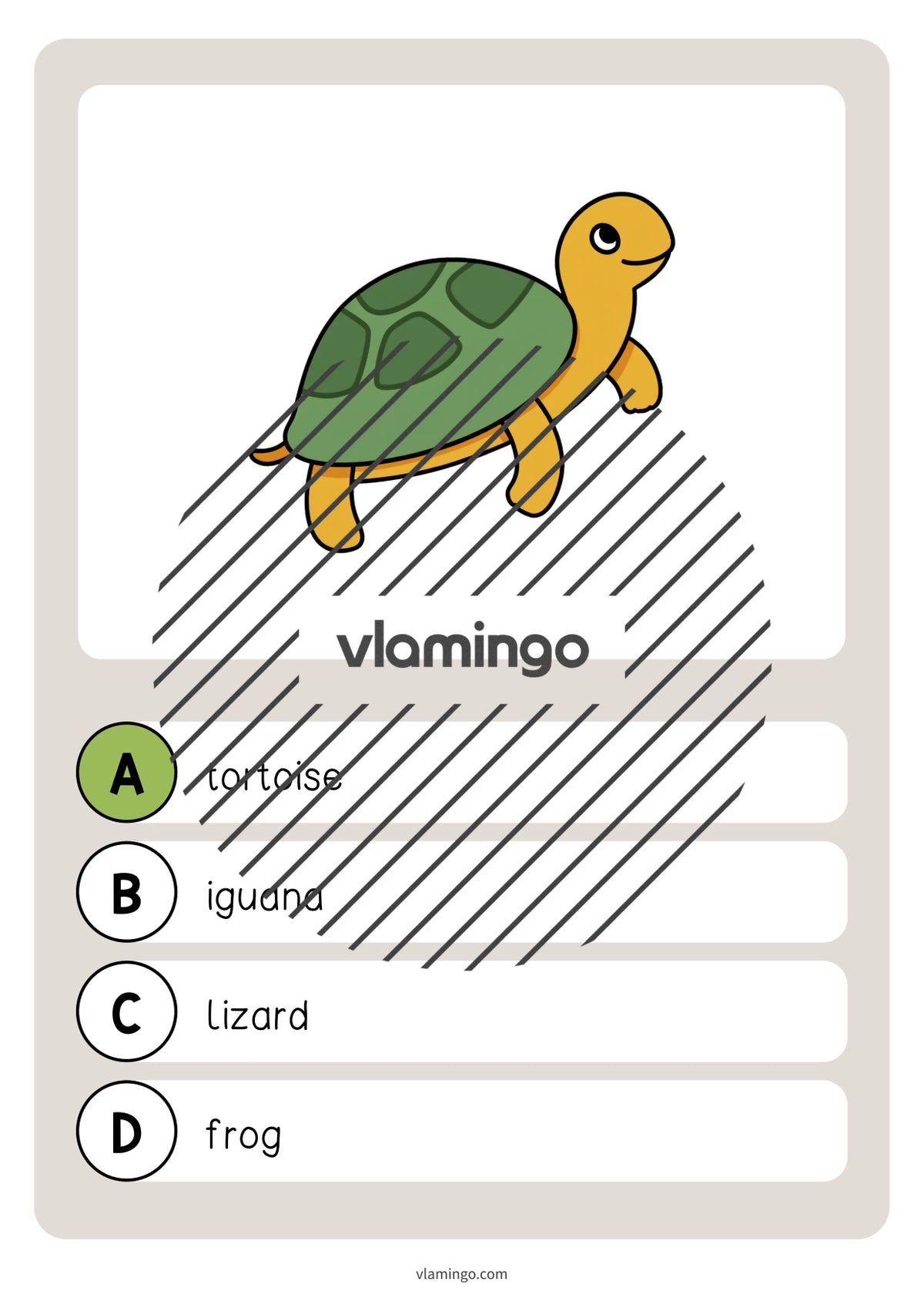 de englisch pets vocabulary quiz 016