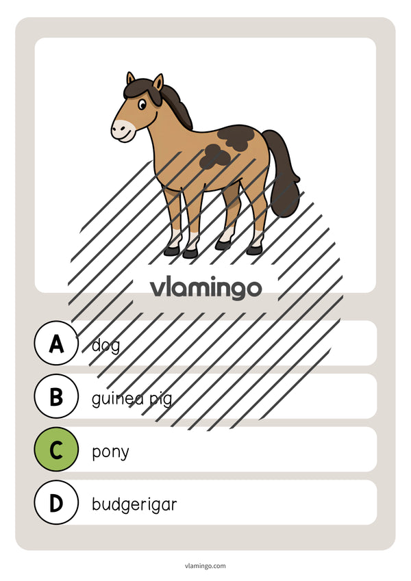 de englisch pets vocabulary quiz 018
