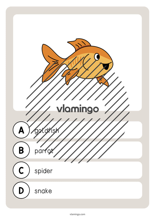 de englisch pets vocabulary quiz 021