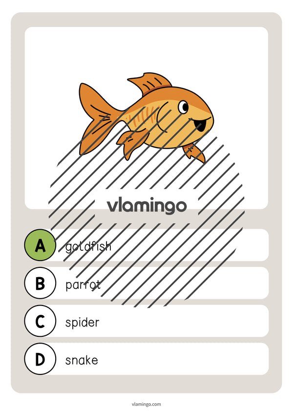 de englisch pets vocabulary quiz 022