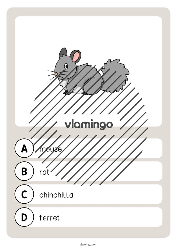 de englisch pets vocabulary quiz 023
