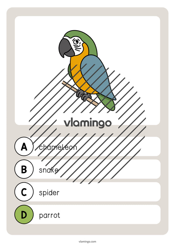 de englisch pets vocabulary quiz 026