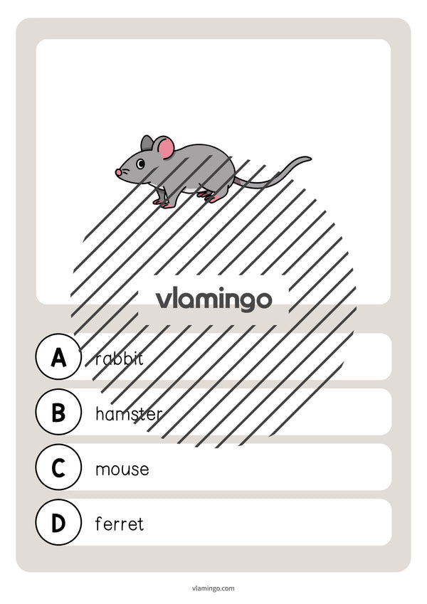 de englisch pets vocabulary quiz 027