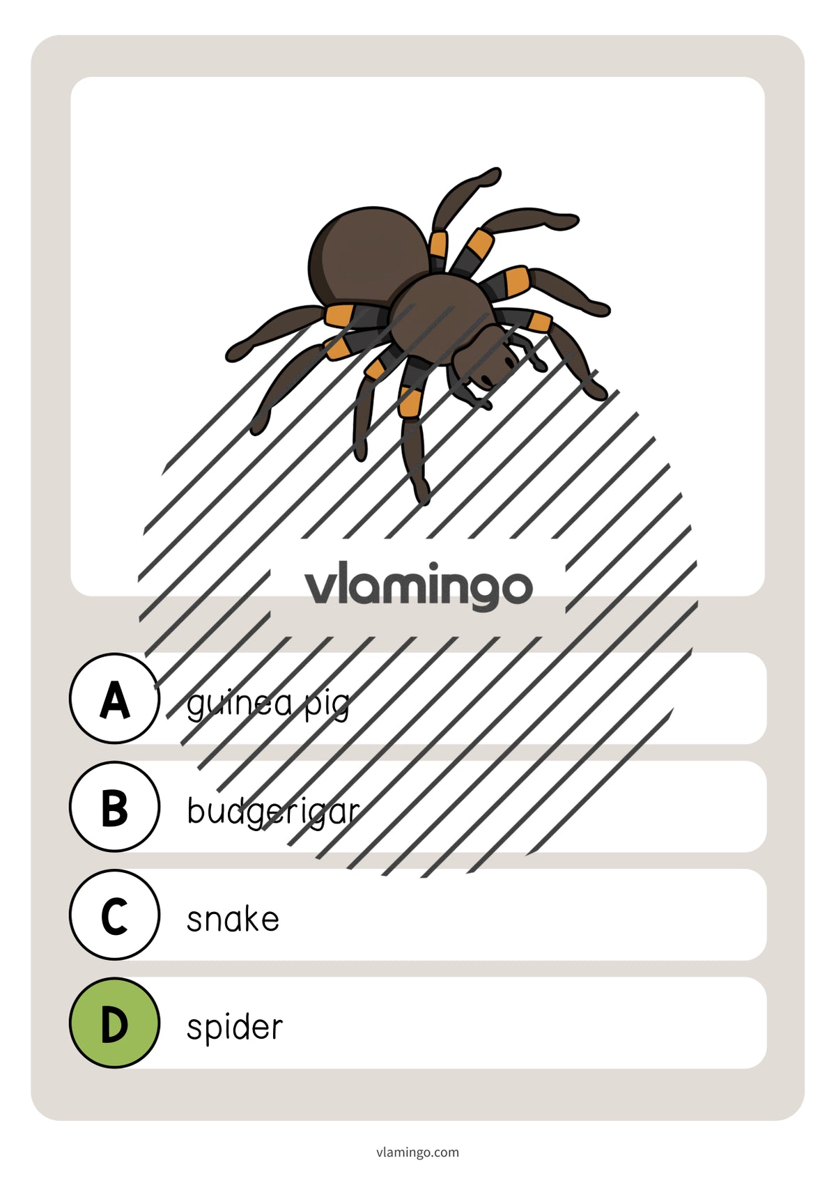 de englisch pets vocabulary quiz 030