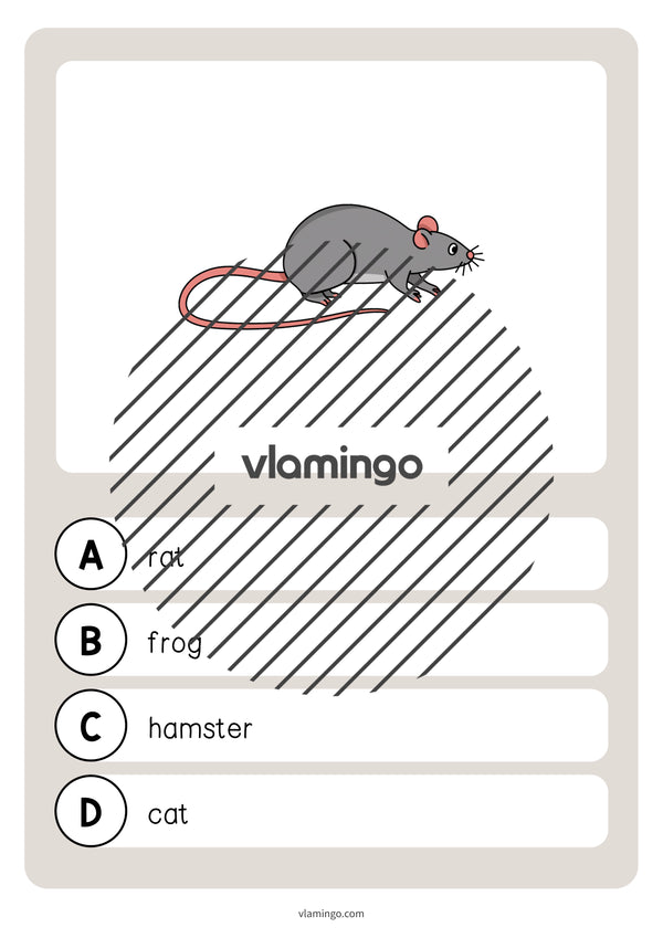 de englisch pets vocabulary quiz 031