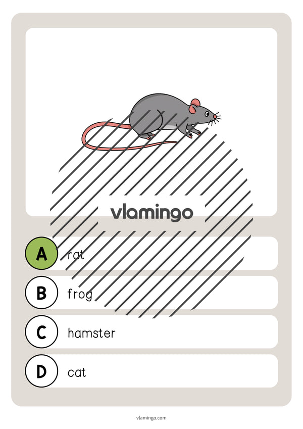 de englisch pets vocabulary quiz 032