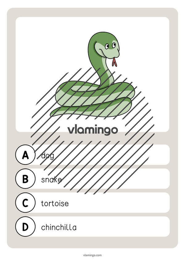 de englisch pets vocabulary quiz 033