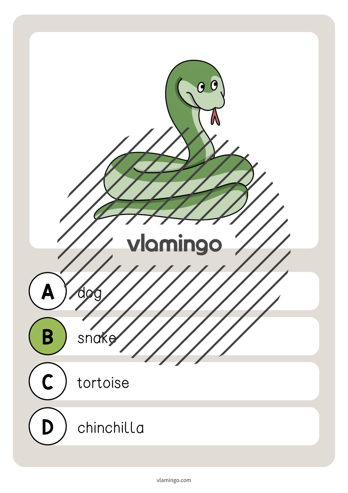 de englisch pets vocabulary quiz 034