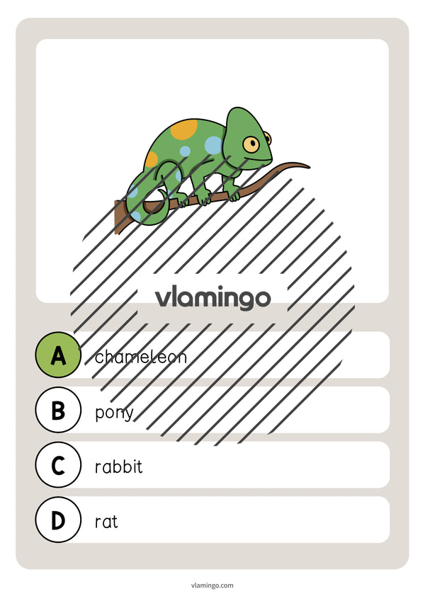 de englisch pets vocabulary quiz 038