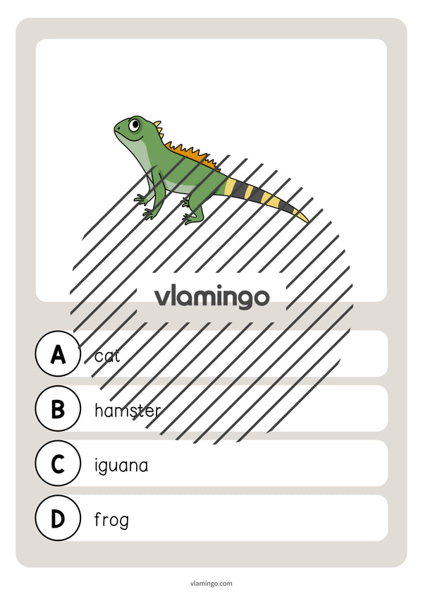 de englisch pets vocabulary quiz 039