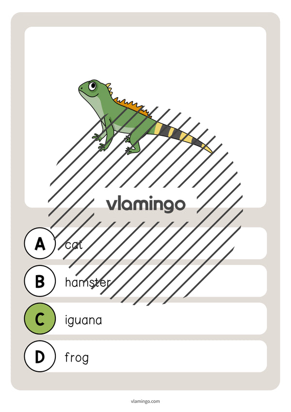 de englisch pets vocabulary quiz 040