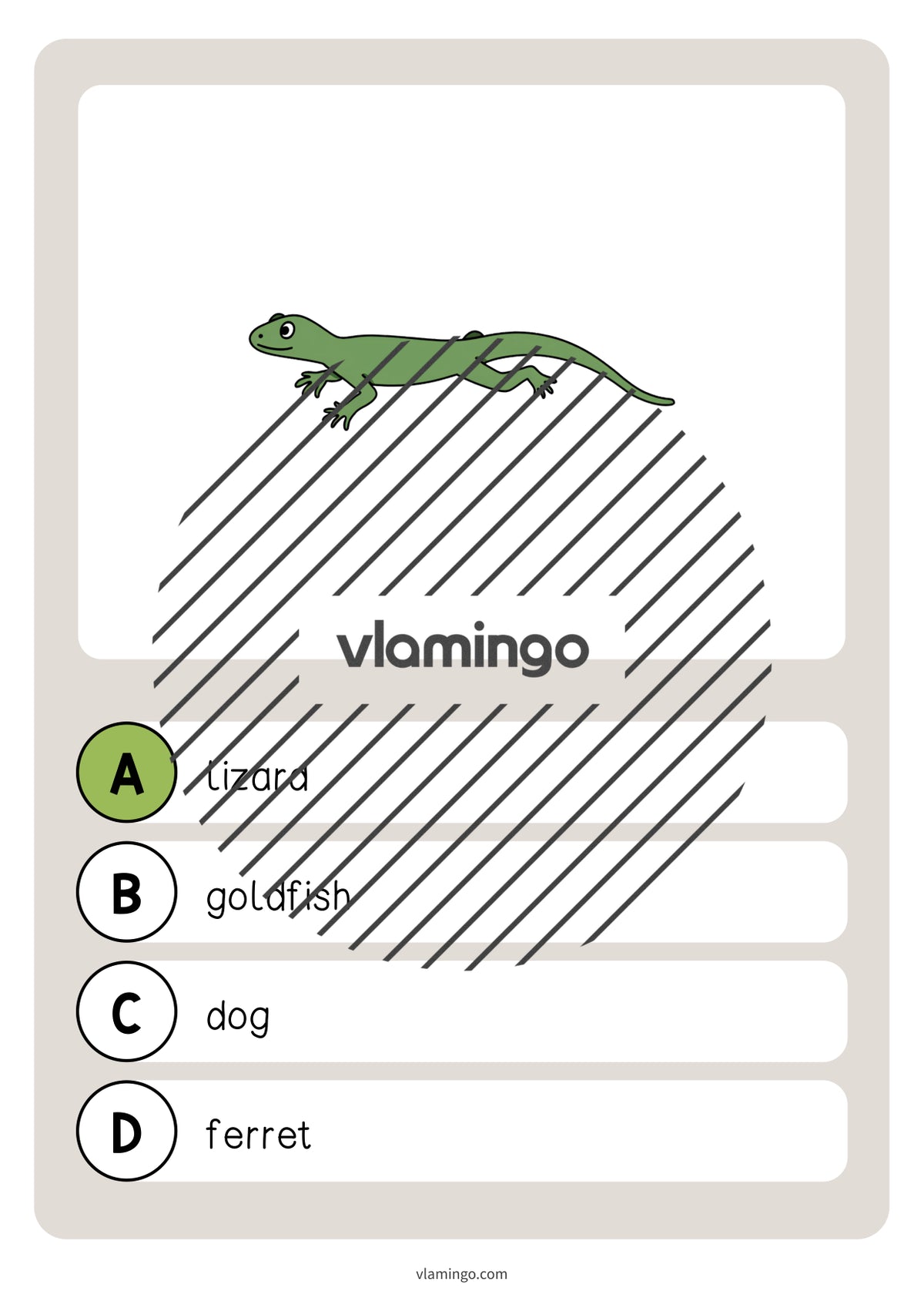 de englisch pets vocabulary quiz 042