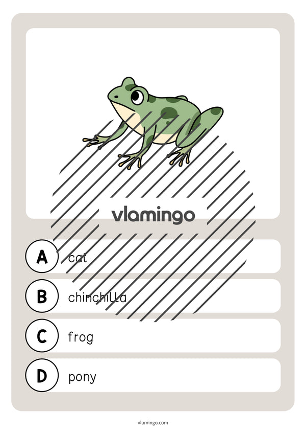 de englisch pets vocabulary quiz 043